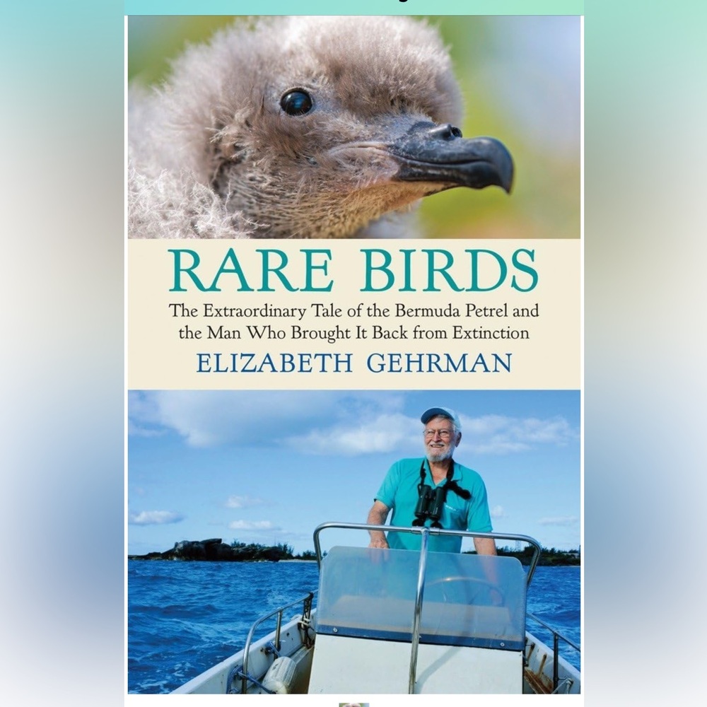 BOOK: Rare Birds:The Extraordinary Tale of the Bermuda Petrel, Elizabeth Gehrman